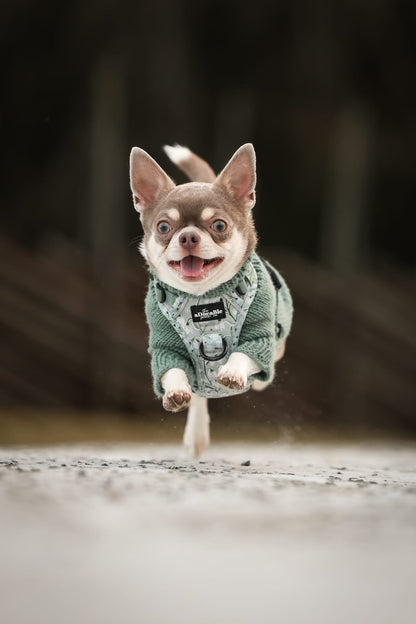 Hike & Go Lite™ Harness - Silent Snowdrops