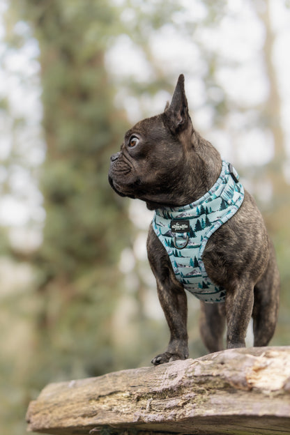Adjustable Harness - Highland Mountains