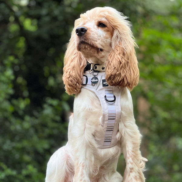 Hike & Go™ Harness - Coconut Cream