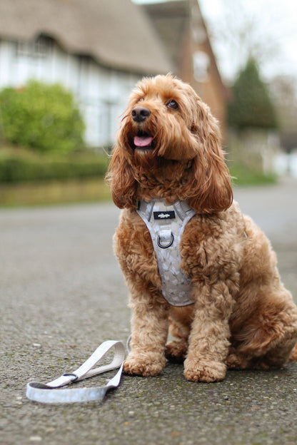Laura Ashley Dog Harness - Magnolia Grove