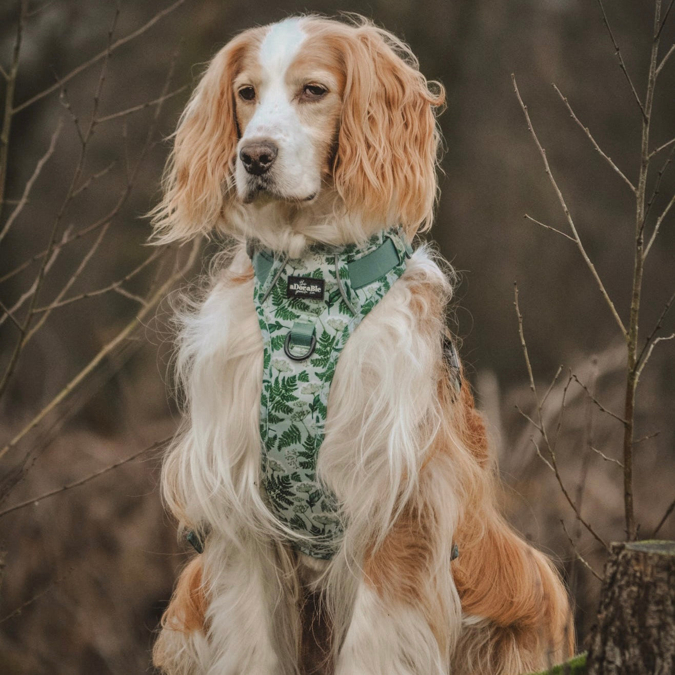 Hike & Go Lite™ Harness - Forest Of Ferns