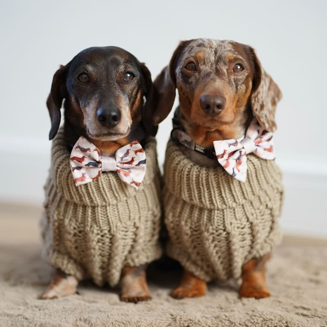 Hand Knitted Dachshund Jumper - Mocha