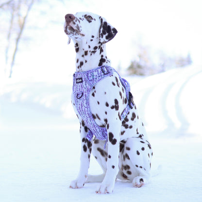 Hike & Go Lite™ Harness - Lavender Haze