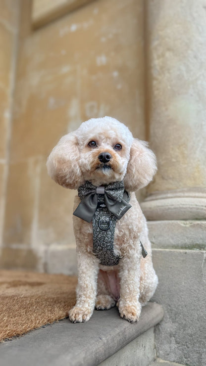 Laura Ashley Dog Harness - Sweet Alyssum