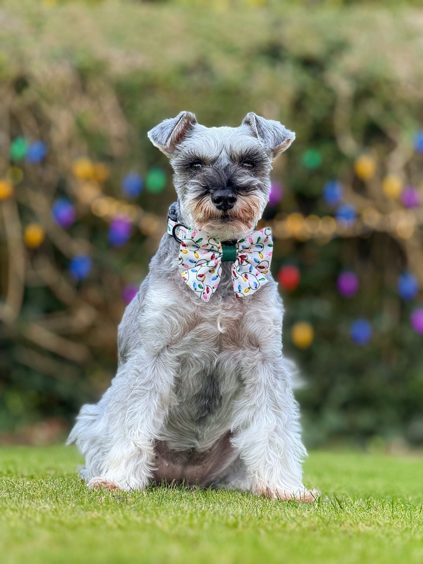 Sailor Bow Tie - Festive Lights