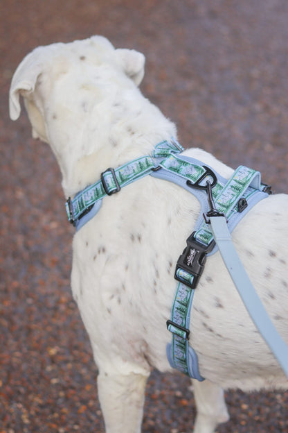 Streamline Pro™ Dog Harness - Daydream Heights