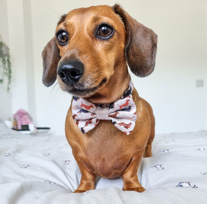 Bow Tie - Watercolour Weenies