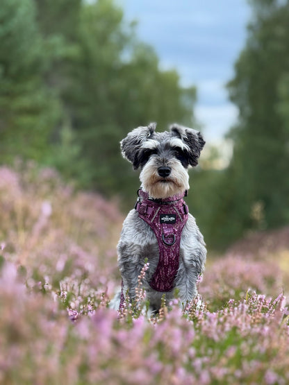 Hike & Go™ Harness - Highland Heather