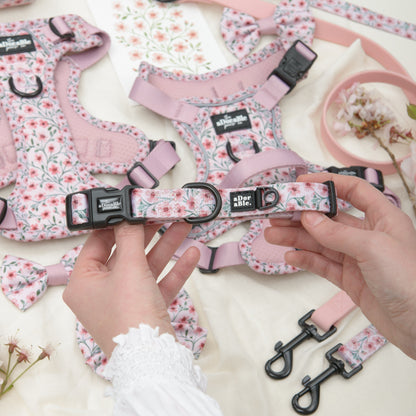 Floral-patterned dog harnesses and lead with a hand holding a collar, on a light background.
