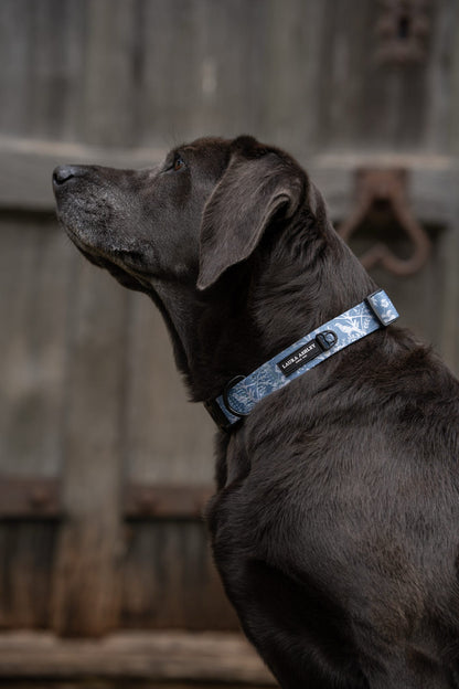 Laura Ashley Dog Collar - Shepherd's Purse