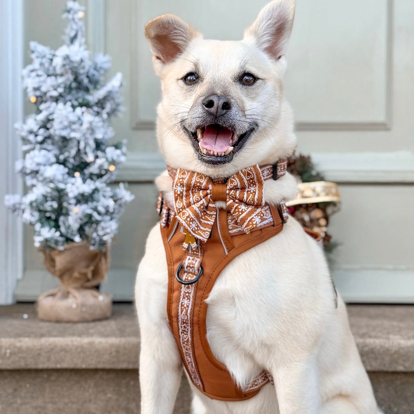 Hike & Go™ Harness - Gingerbread Frosting