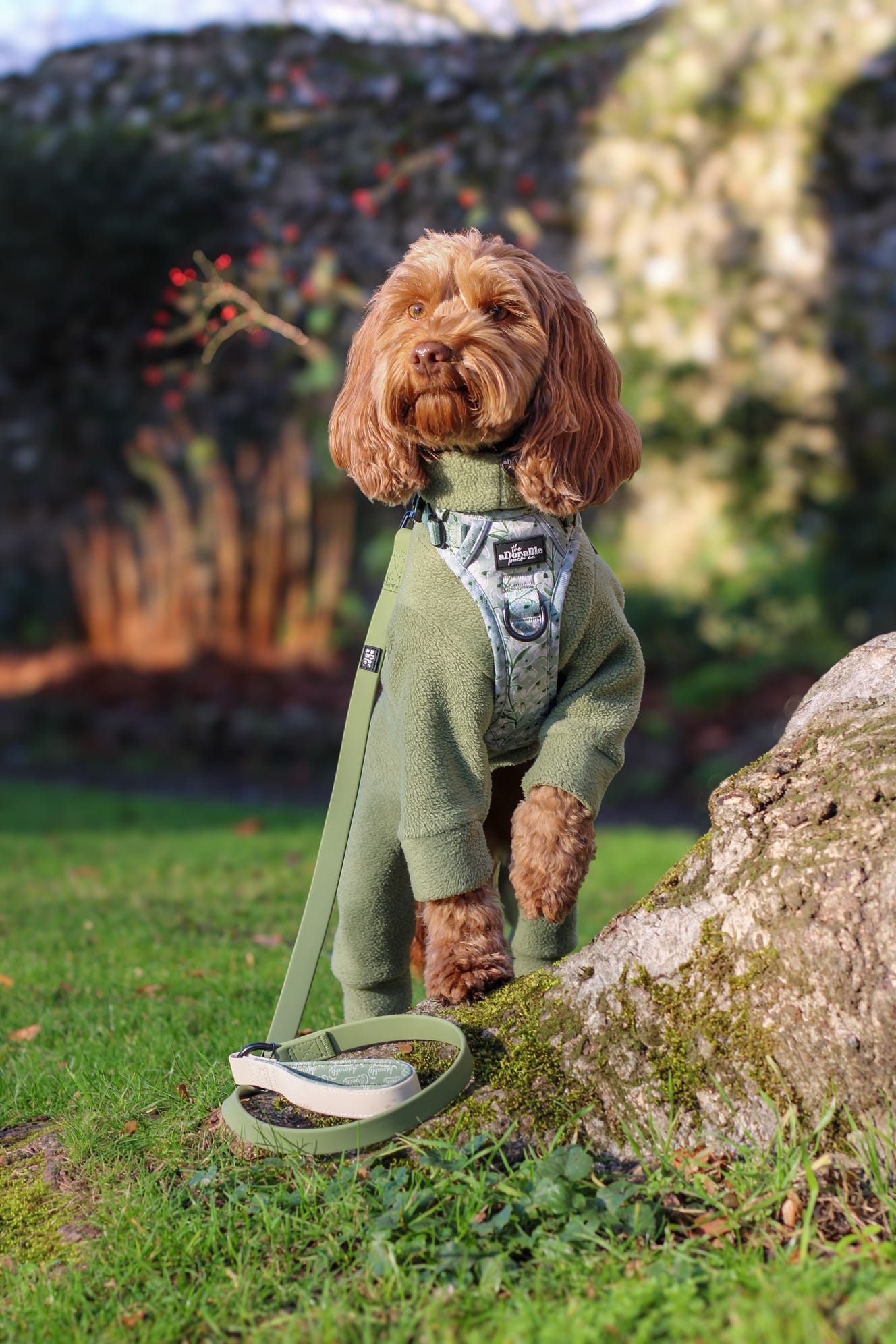 Hike & Go Lite™ Harness - Silent Snowdrops