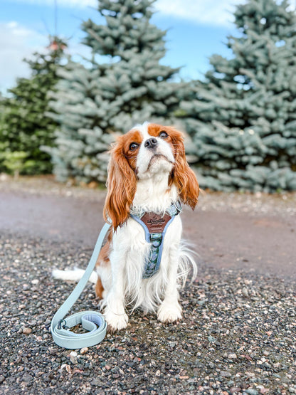 HydroFlex™ Waterproof Dog Lead - Sky Blue