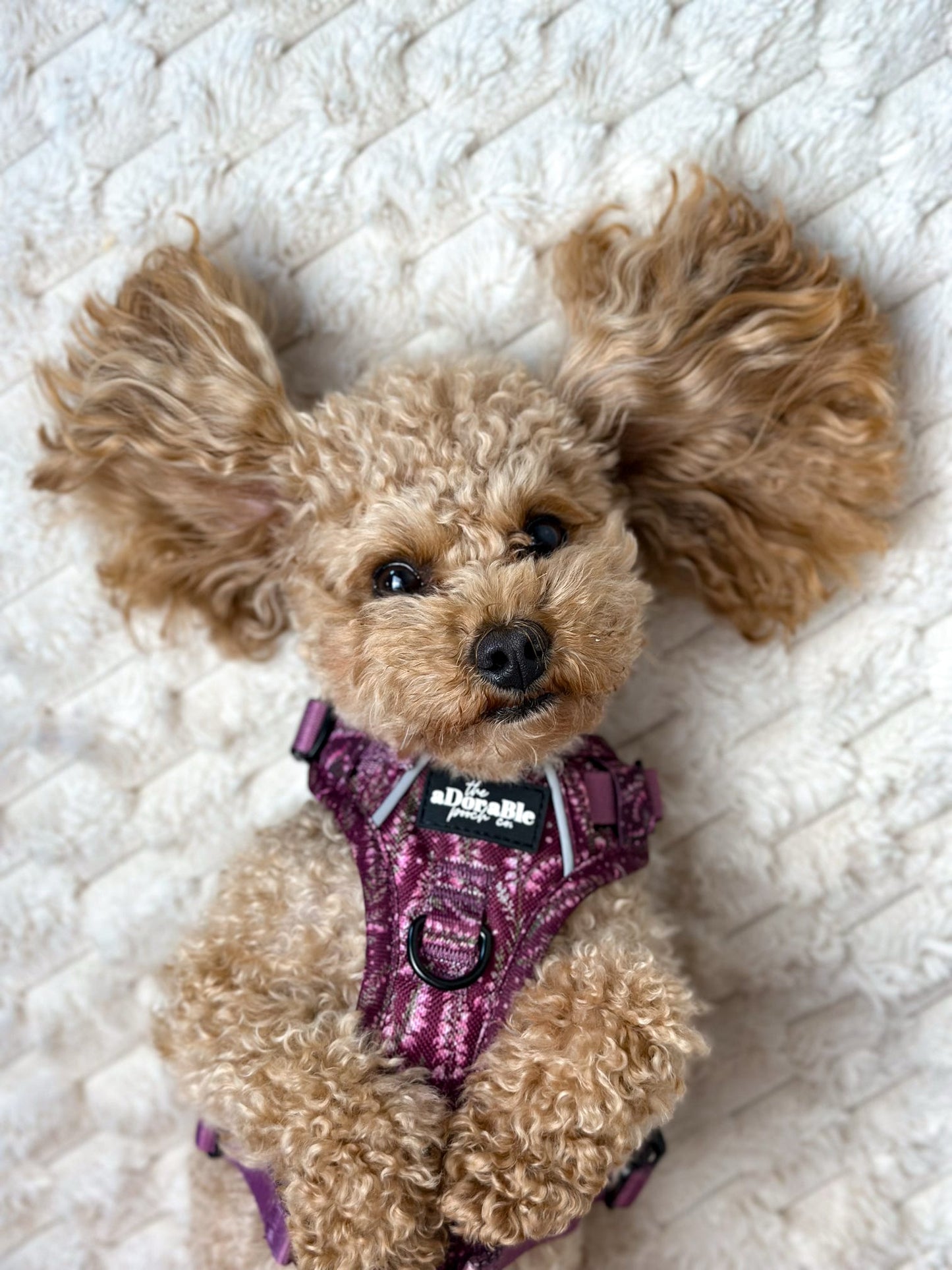 Hike & Go™ Harness - Highland Heather