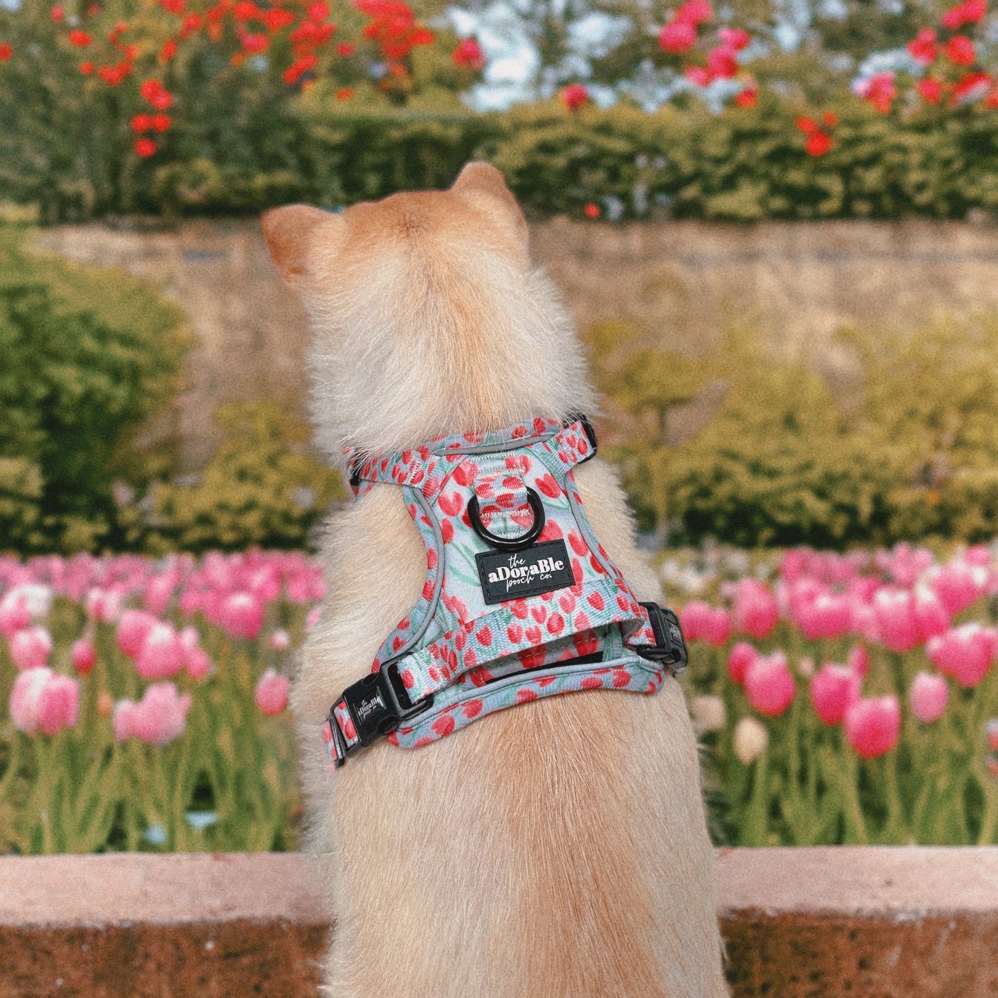 Hike & Go Lite™ Harness - Timeless Tulips