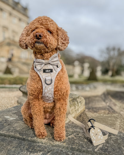 Laura Ashley Dog Harness - Magnolia Grove
