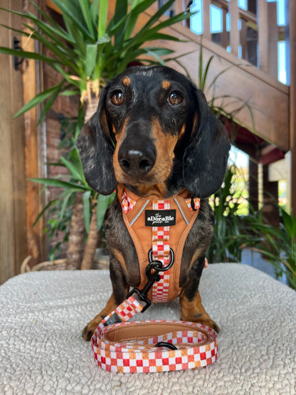 Hike & Go™ Harness - Gingerbread Waffle