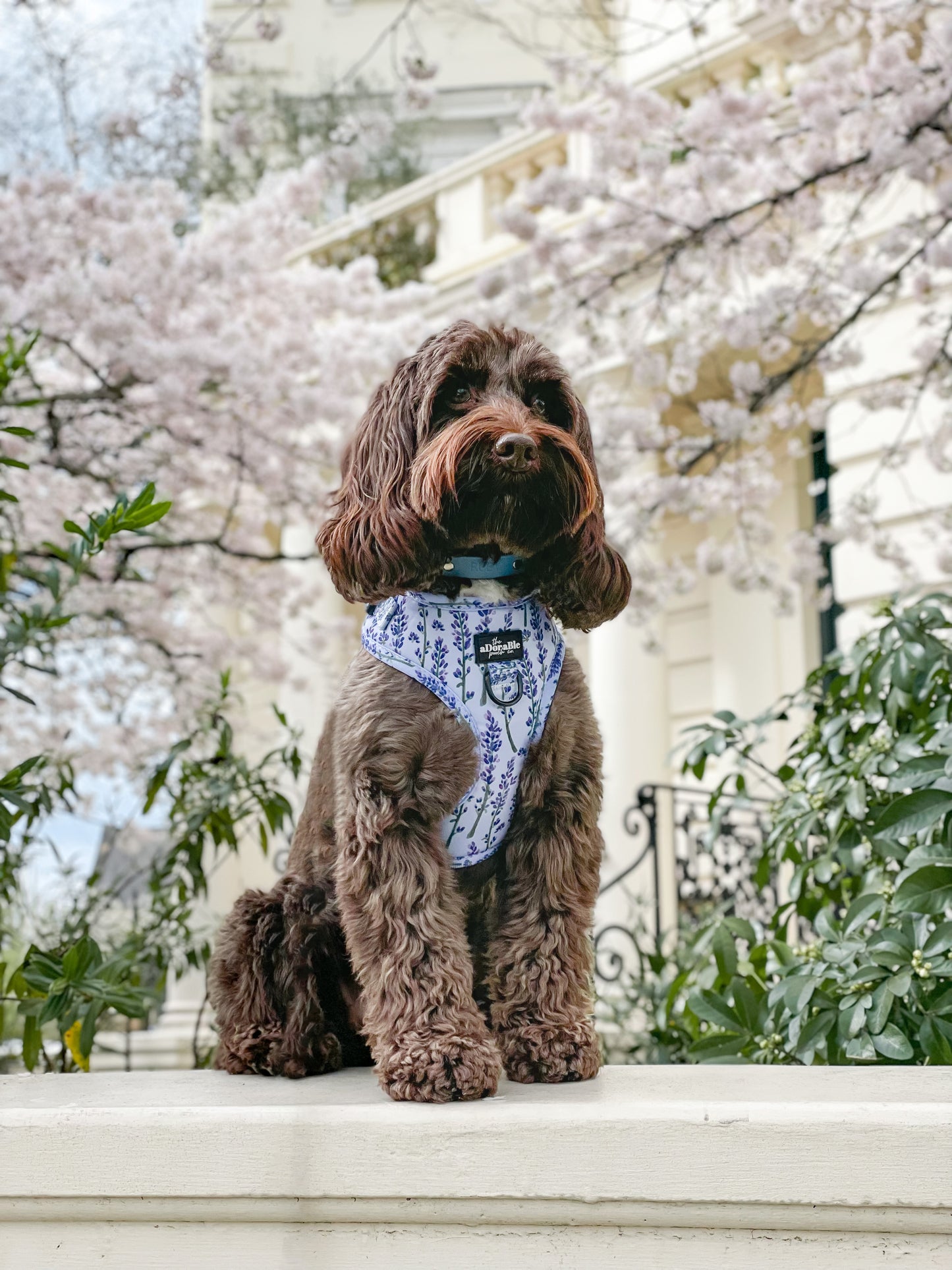 Adjustable Harness - Lavender Haze - XS - SECONDS