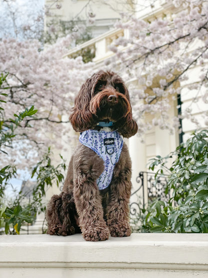 Adjustable Harness - Lavender Haze - XS - SECONDS
