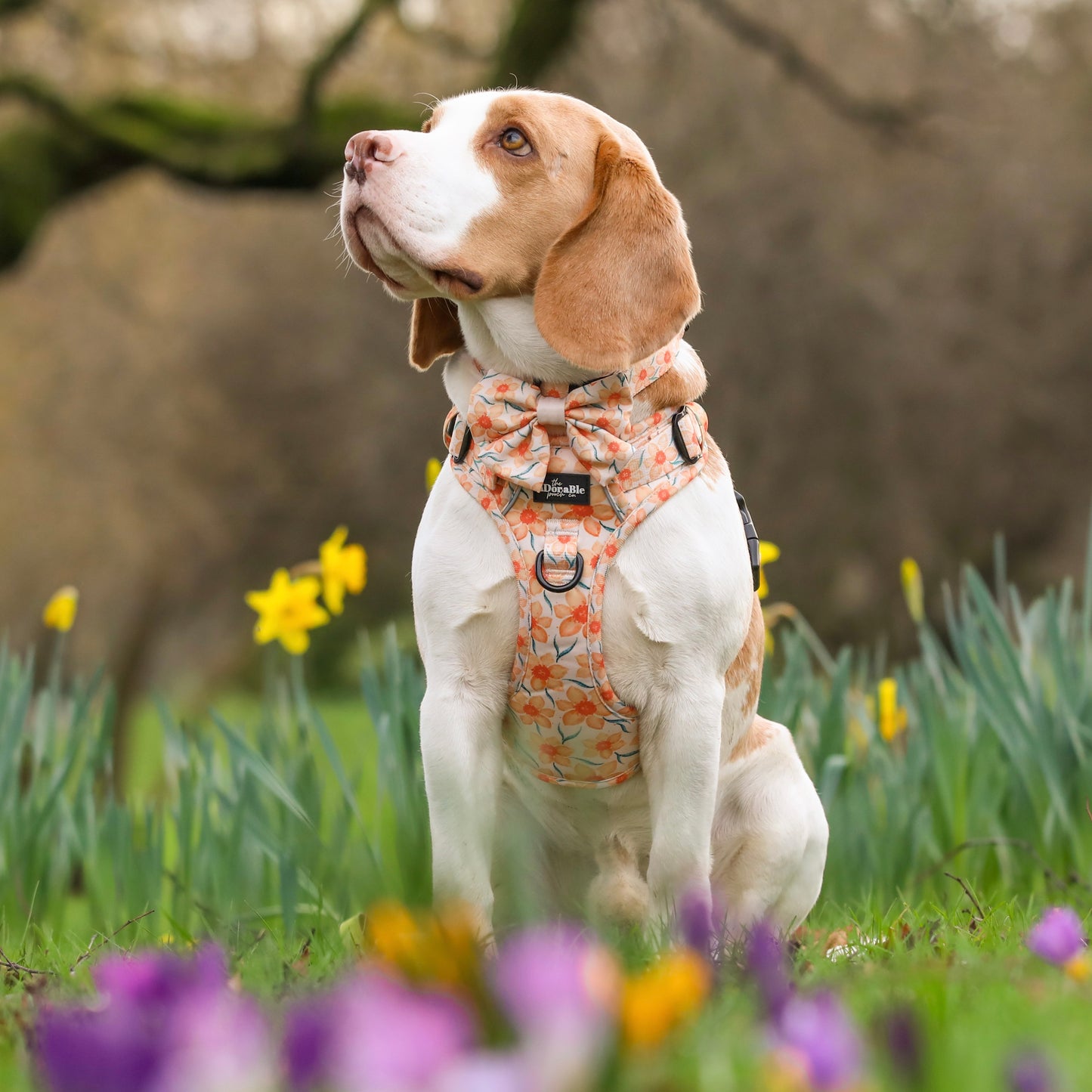 Hike & Go Lite™ Harness - Delicate Daffodils