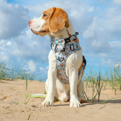 Hike & Go Lite™ Harness - Coastal Beach Grass