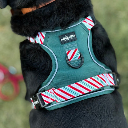 Hike & Go™ Harness - Candy Cane Forest