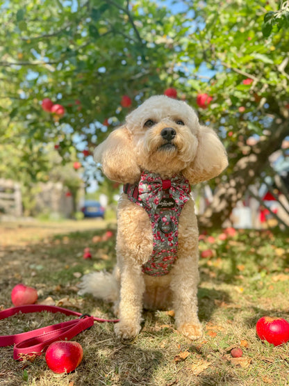 Hike & Go™ Harness - Crab Apple Cottage