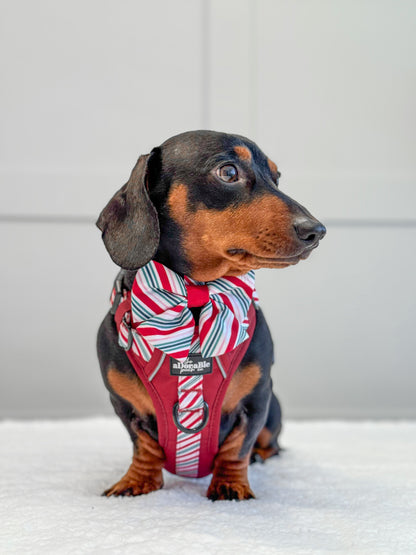 Hike & Go™ Harness - Candy Cane Swirl