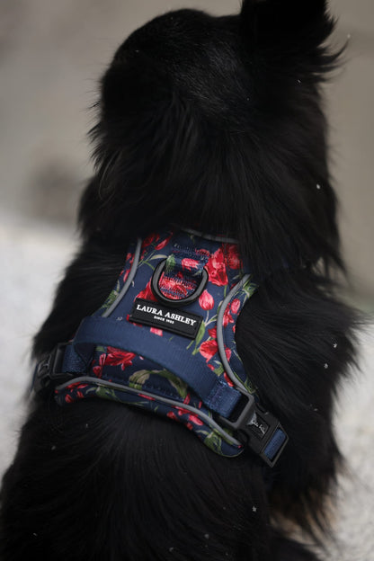 Laura Ashley Dog Harness - Gosford Meadow