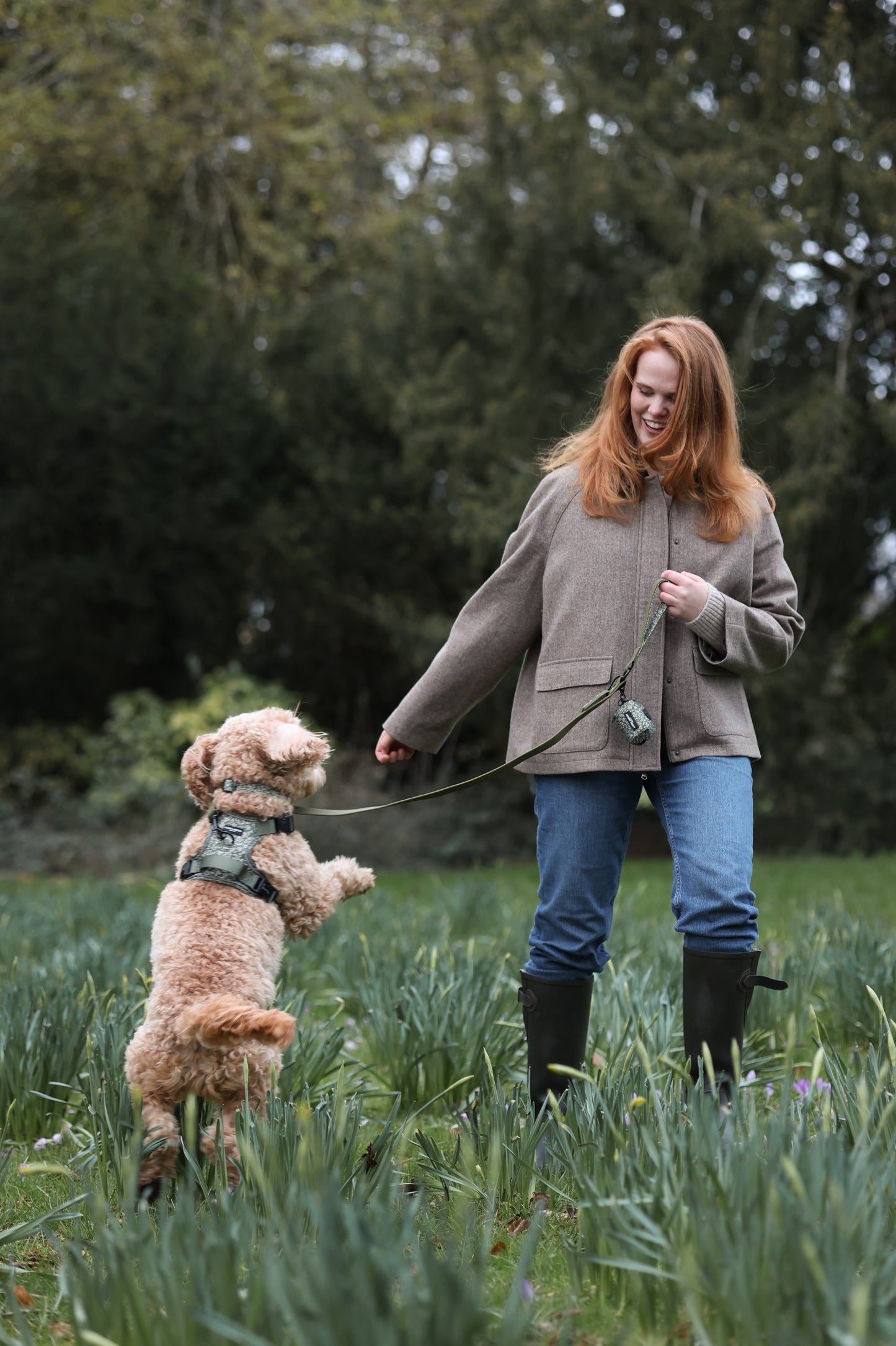 Laura Ashley Dog Harness - Sweet Alyssum