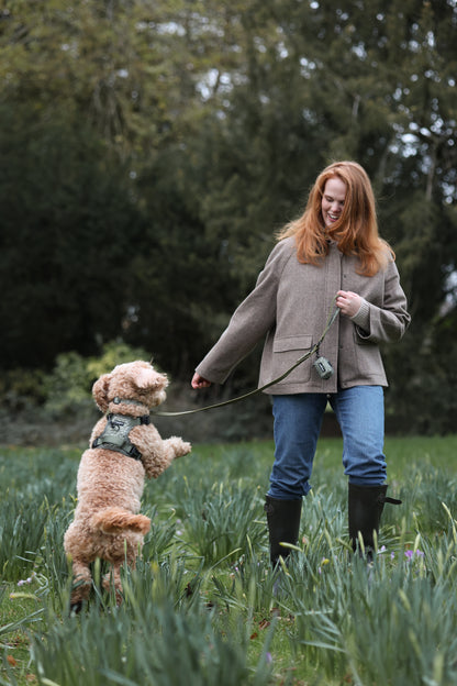 Laura Ashley Dog Harness - Sweet Alyssum