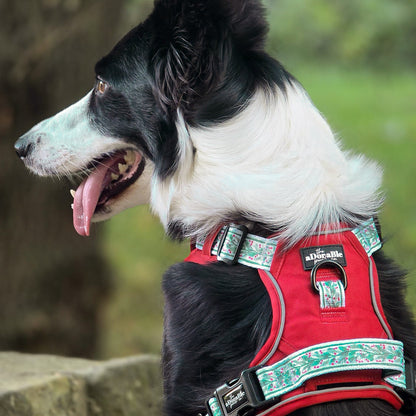 Hike & Go™ Harness - Garlands Of Evergreen