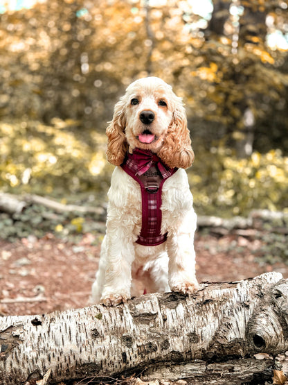 Streamline Pro™ Dog Harness - Heritage Collection - Merlot Manor