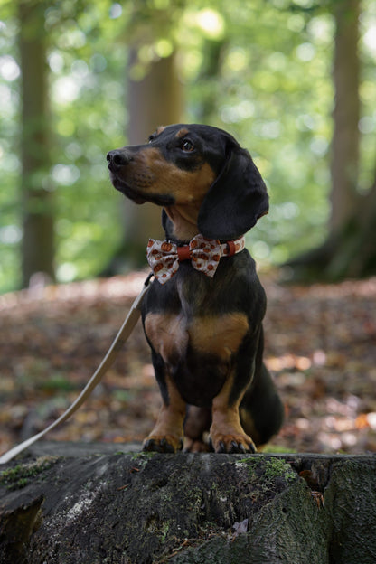 Bow Tie - Pumpkin Farm