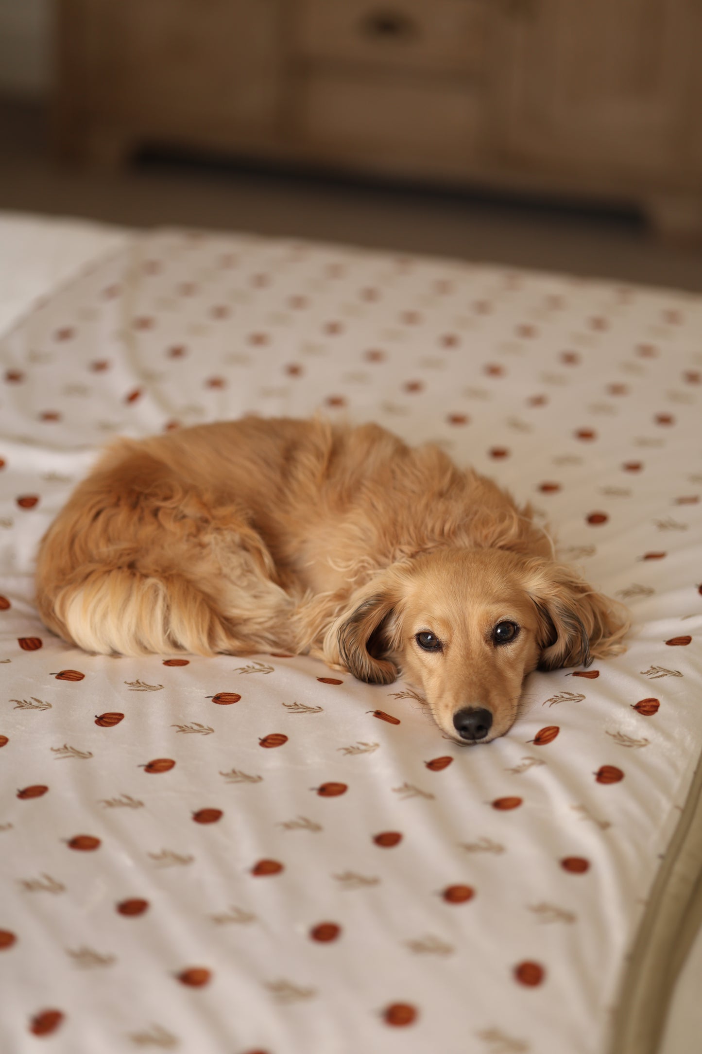 King Size Blanket - Pumpkin Farm