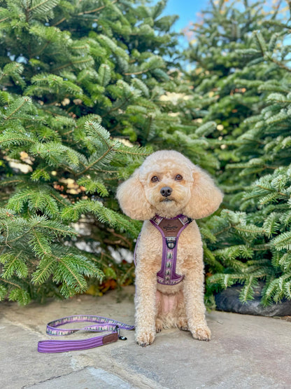 Streamline Pro™ Dog Harness - Moonlit Pines