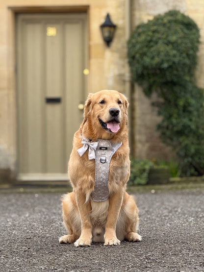 Laura Ashley Dog Harness - Magnolia Grove