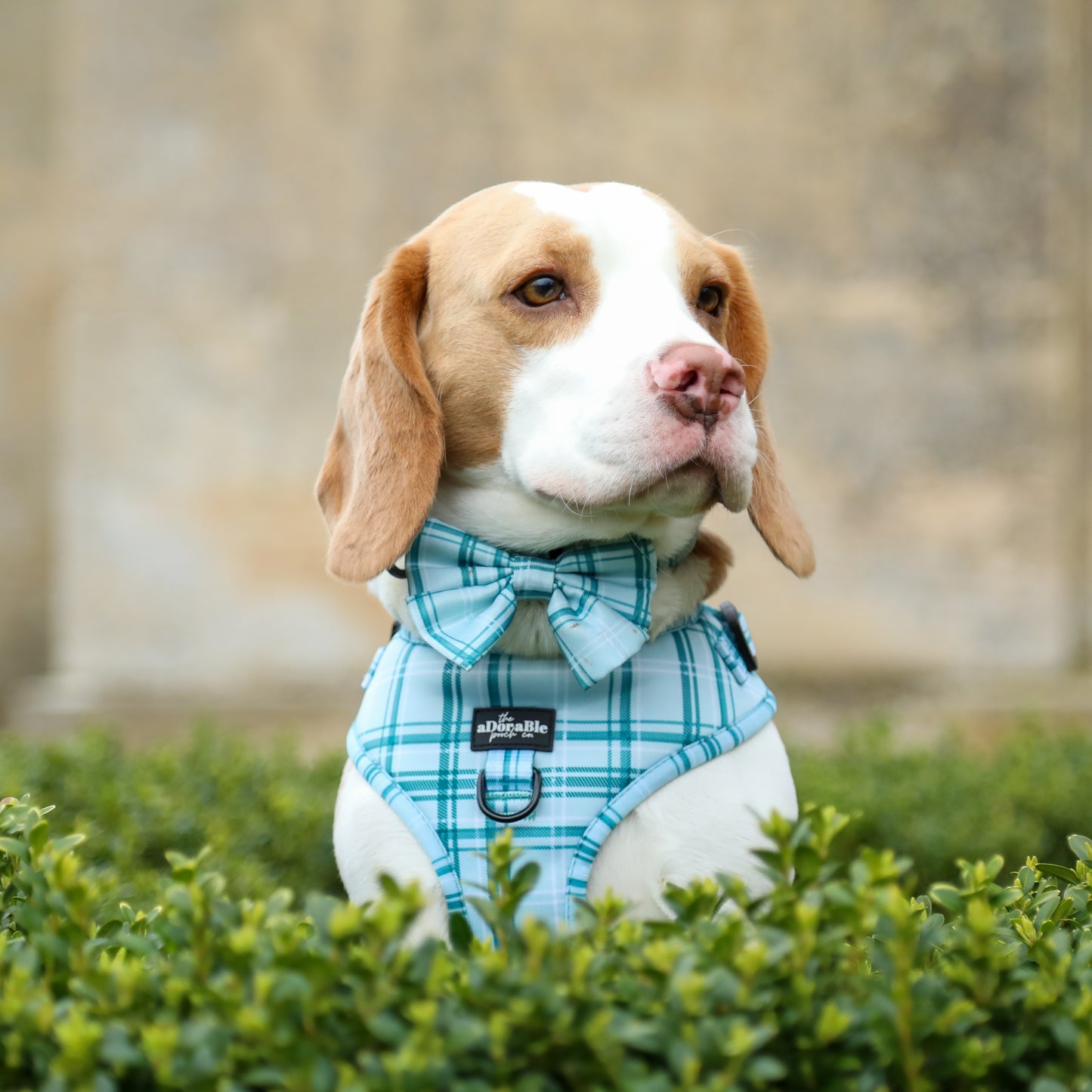 Sailor Bow Tie - LUXE Frosted Mint Plaid