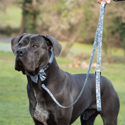 Fabric Dog Lead - Willow Waters