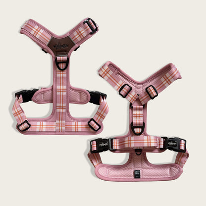 Streamline Pro™ Dog Harness - Heritage Collection - Strawberry Cottage