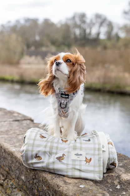 Dog & Puppy Bed Blanket - Cotswold Cottage