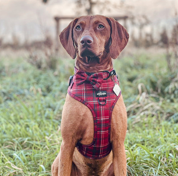 Adjustable Harness - LUXE Berry Red Plaid