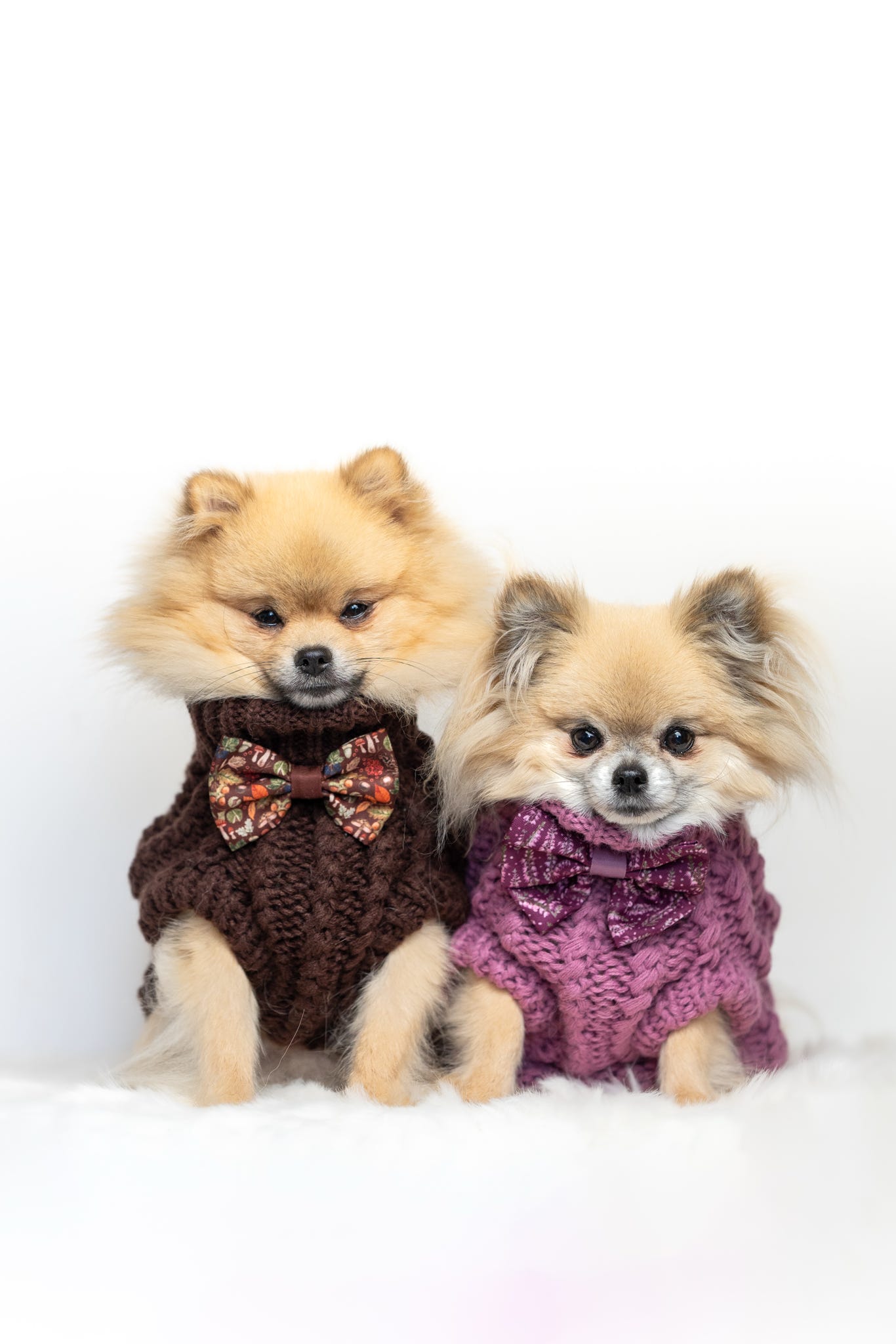 Hand Knitted Dog Jumper - Chocolate (seconds)