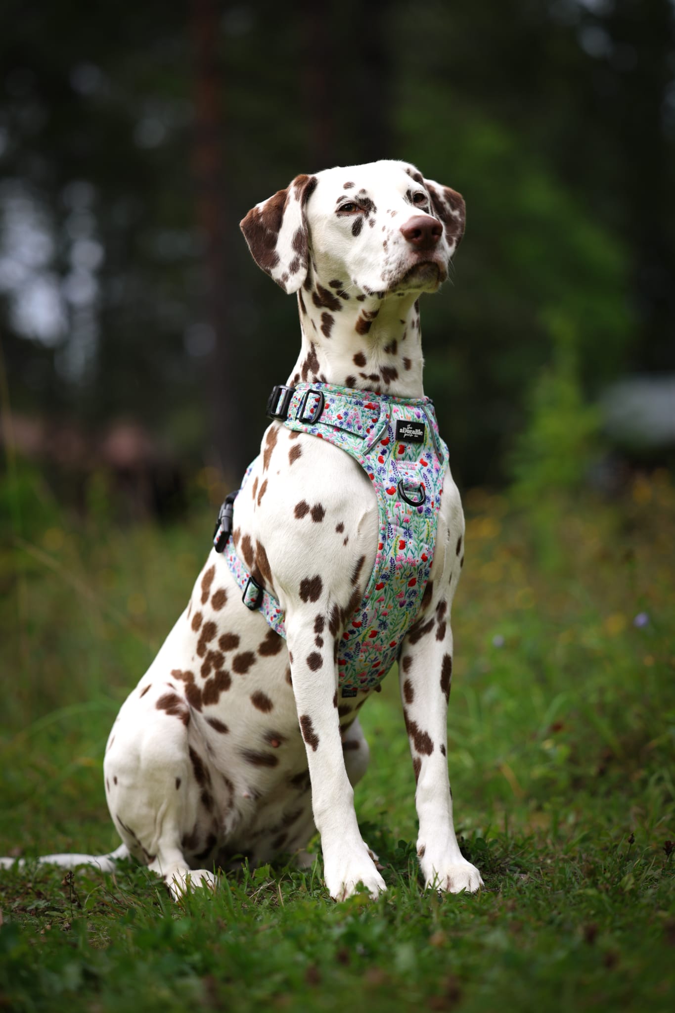 Hike & Go Lite™ Harness - Wildflower Meadow