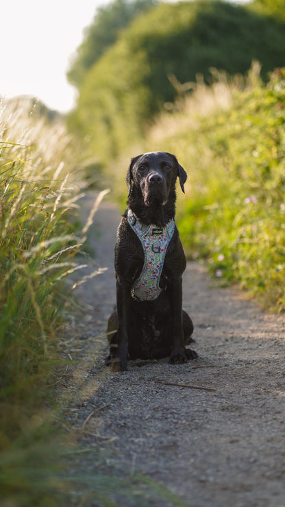 Hike & Go Lite™ Harness - Wildflower Meadow