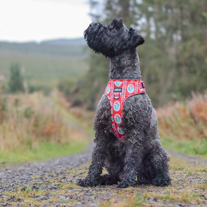 Adjustable Harness - Christmas Traditions