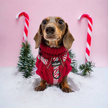 Hand Knitted Dachshund Jumper - Berry Red