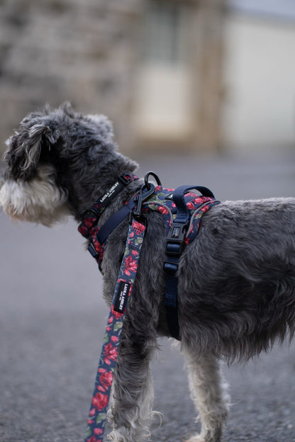 Laura Ashley Dog Harness - Gosford Meadow