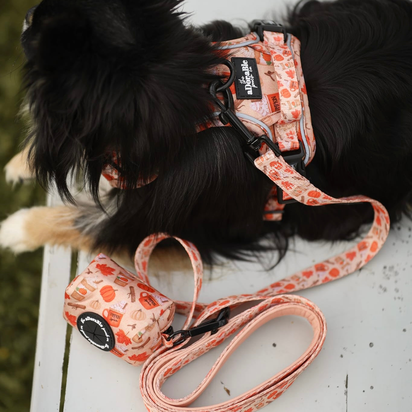 Poop Bag Holder - Pumpkin Harvest