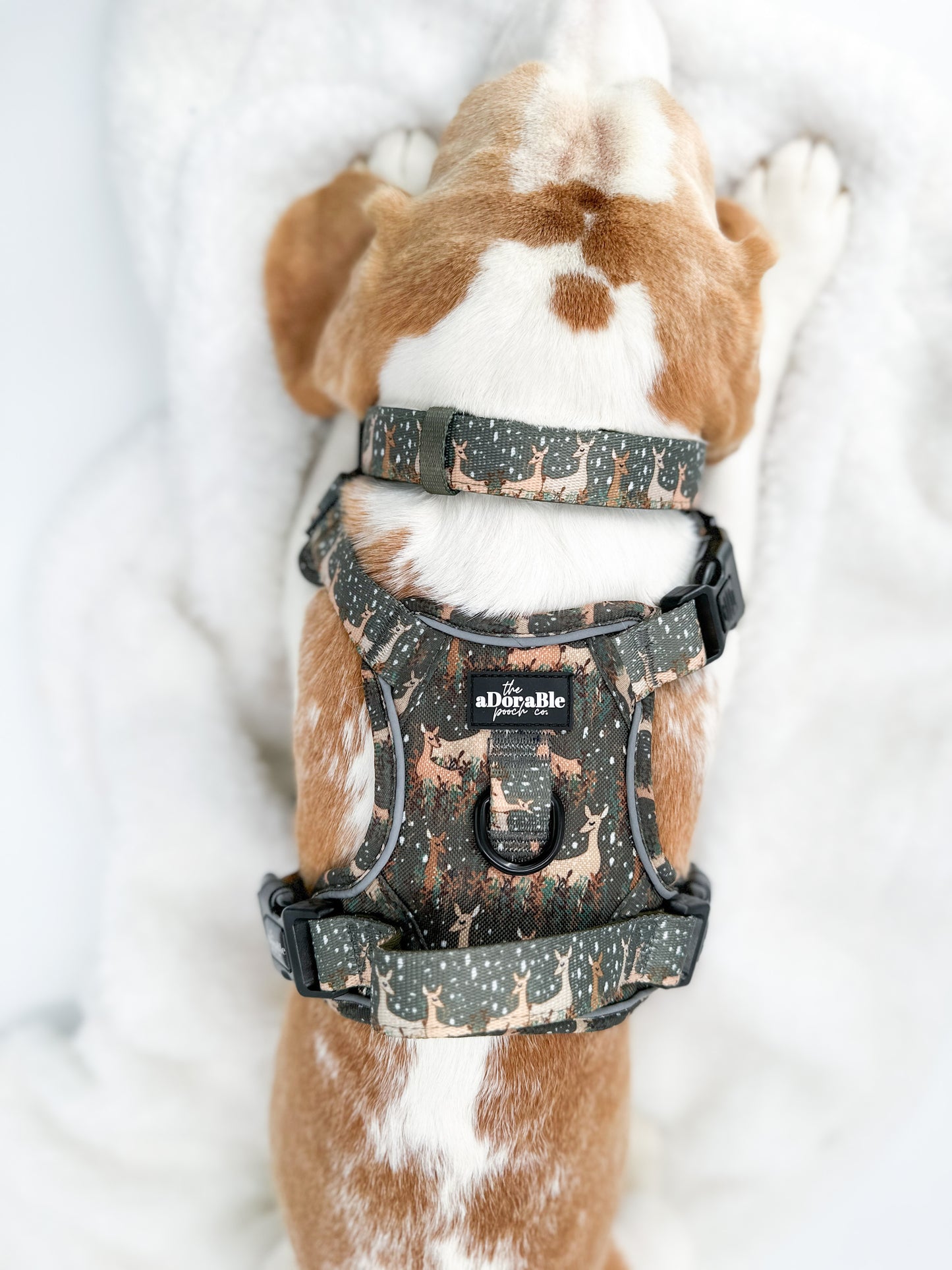 Hike & Go™ Harness - Nature Trails